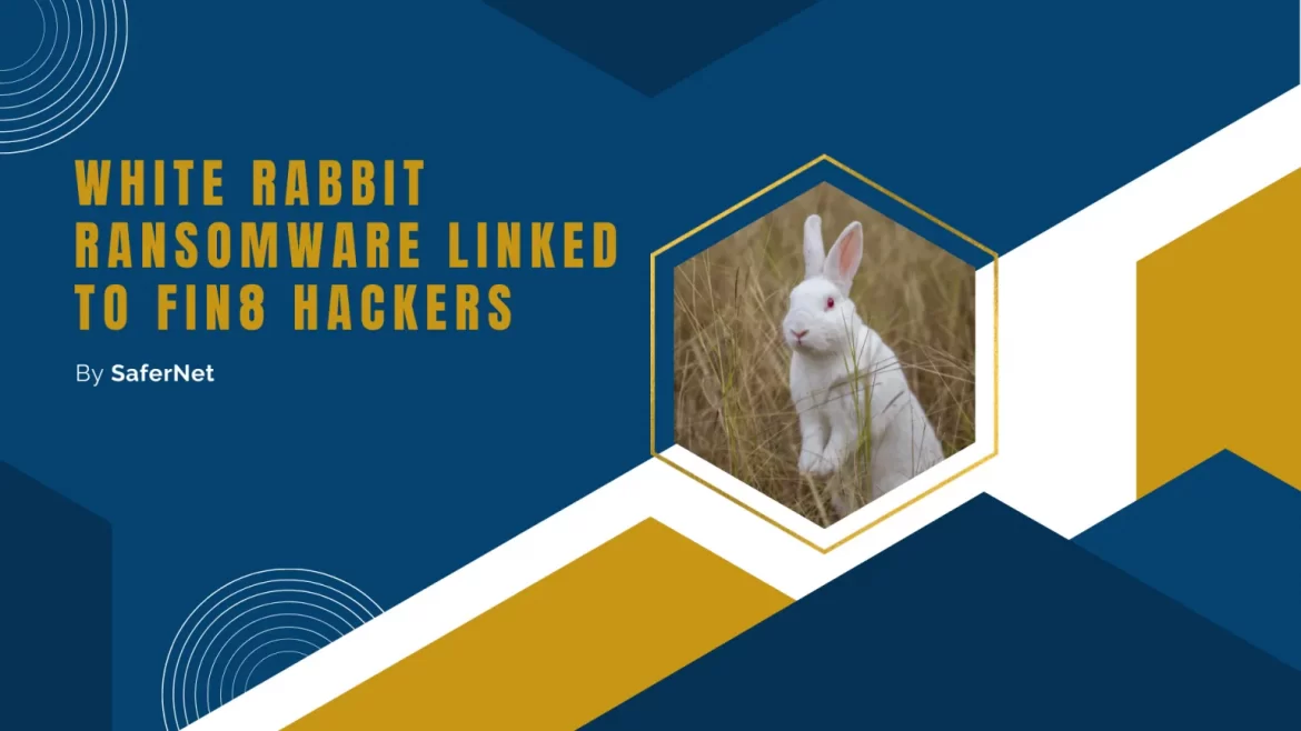 Rabbit